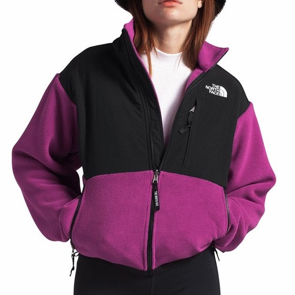 The North Face 95 Retro Denali Fleece Jacket